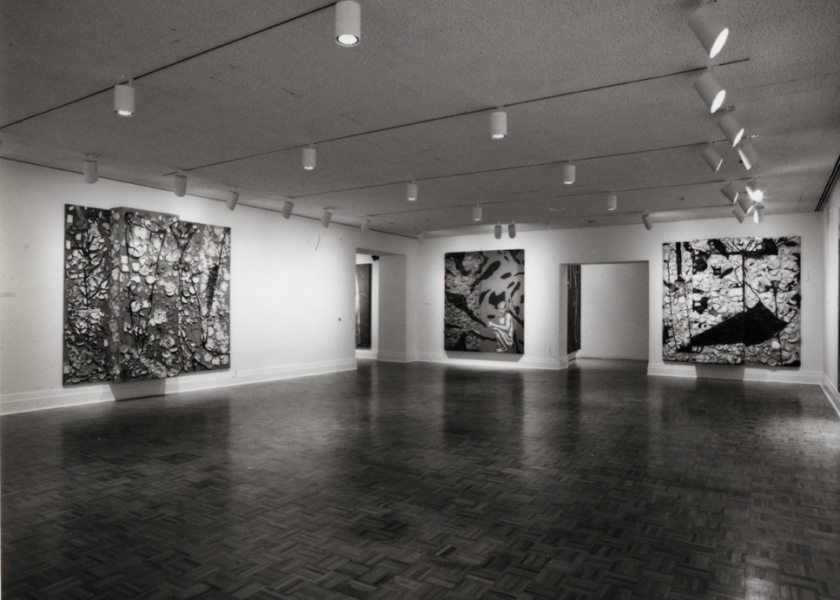 Museum of Fine Arts, Houston, 1987