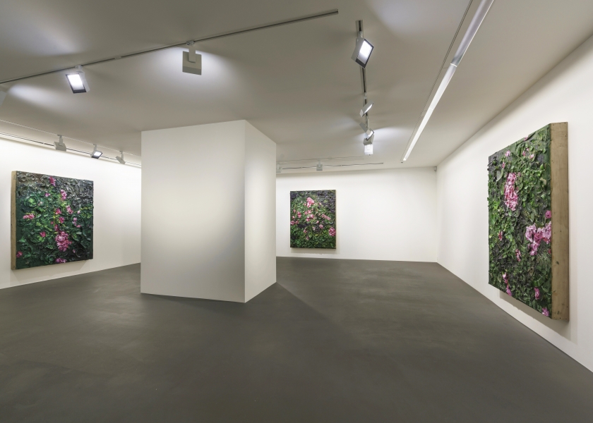 6 Rose Paintings, Vito Schnabel Gallery, St. Moritz, 2016