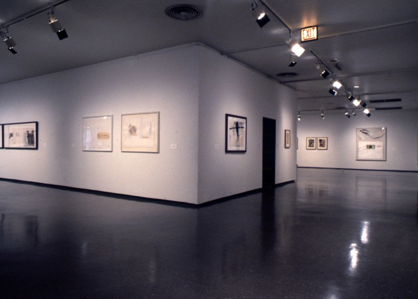 Museum of Contemporary Art, Chicago, 1989
